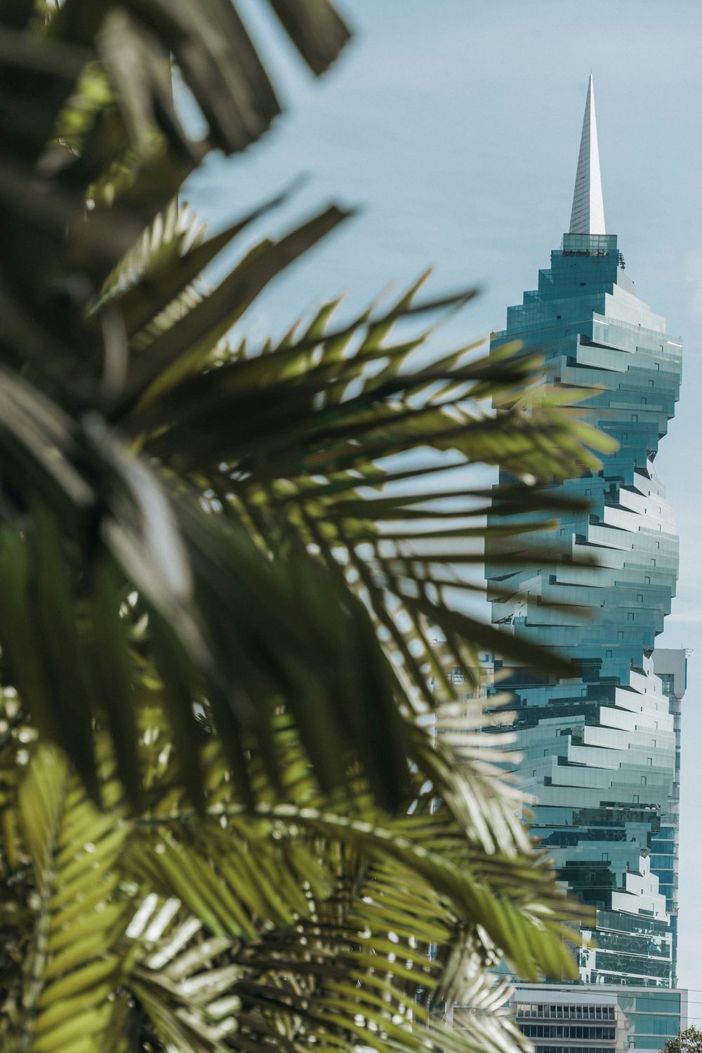 Torre espiralada da Cidade do Panamá vista entre folhas de palmeira